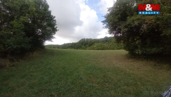 Prodej louky, 16692 m², Jenčice - 3