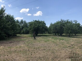 Prodej zahrady, oblast Rybáře, Hodonín, zahrada v obci Hodon - 3