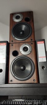 starší věź Aiwa + dřevěné repro - 3