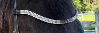 Kožená čelenka pro koně, vel. Full – Preciosa kamínky - 3