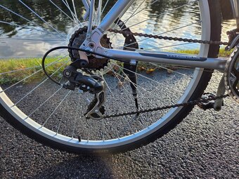 Leader Fox Toscana Lady 19" - 3