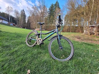 Prodám dětské kolo Core Nipper 20" - 3