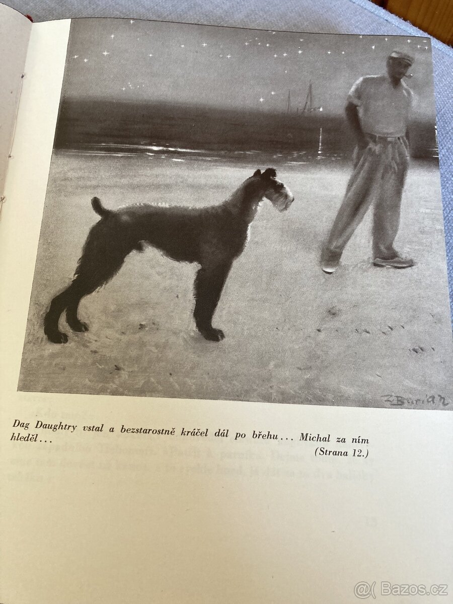 kniha Jack London, Michal bratr Jerryho - 4