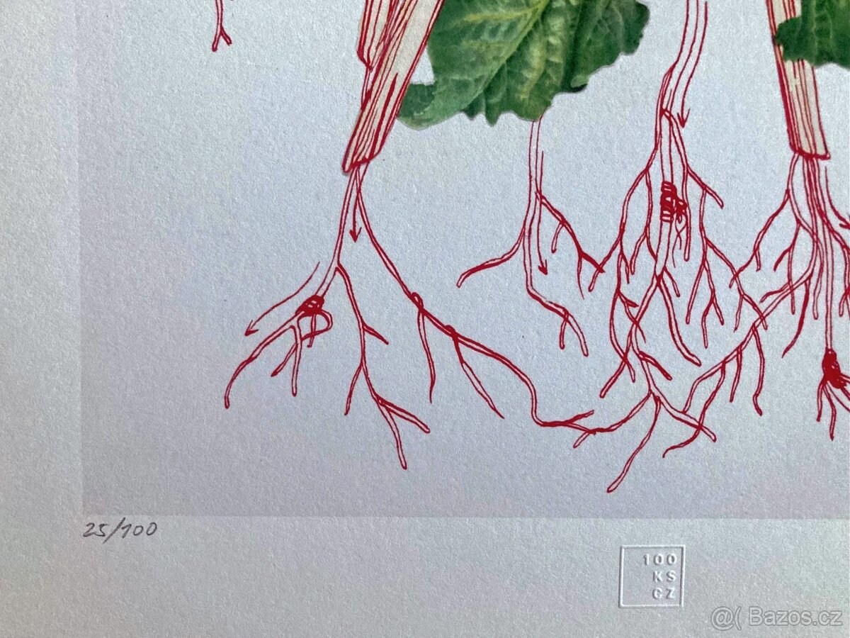 Eva Koťátková - Replanted - 4