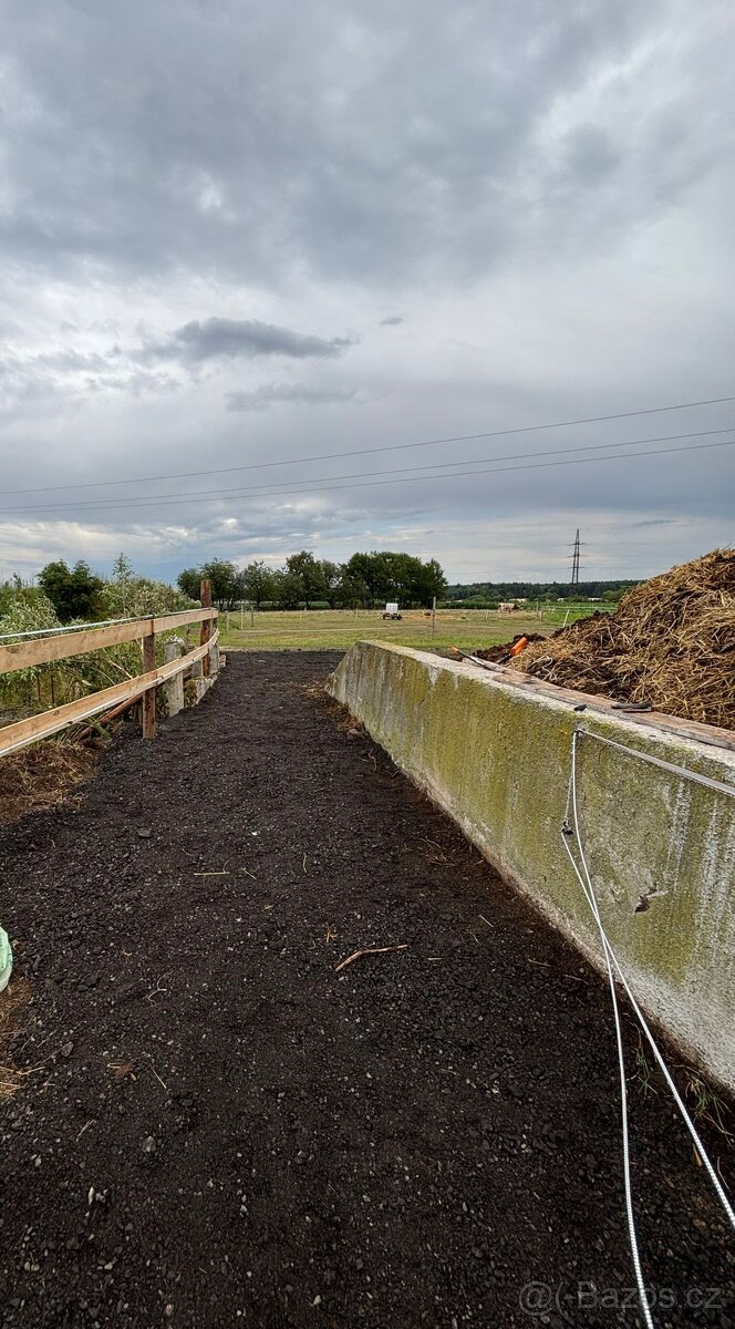 Ustájení a výcvik koní - 4