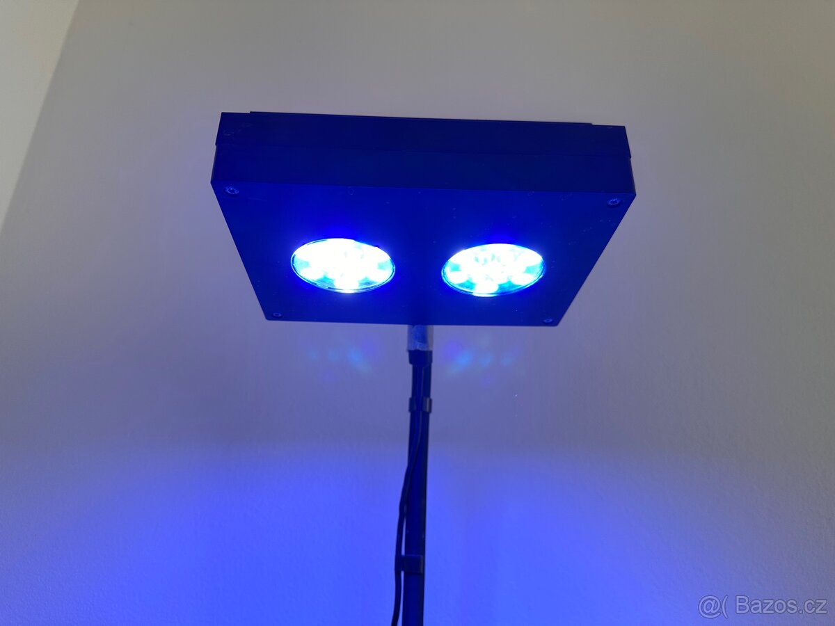 Mořské akvárium 80L komplet . - 4