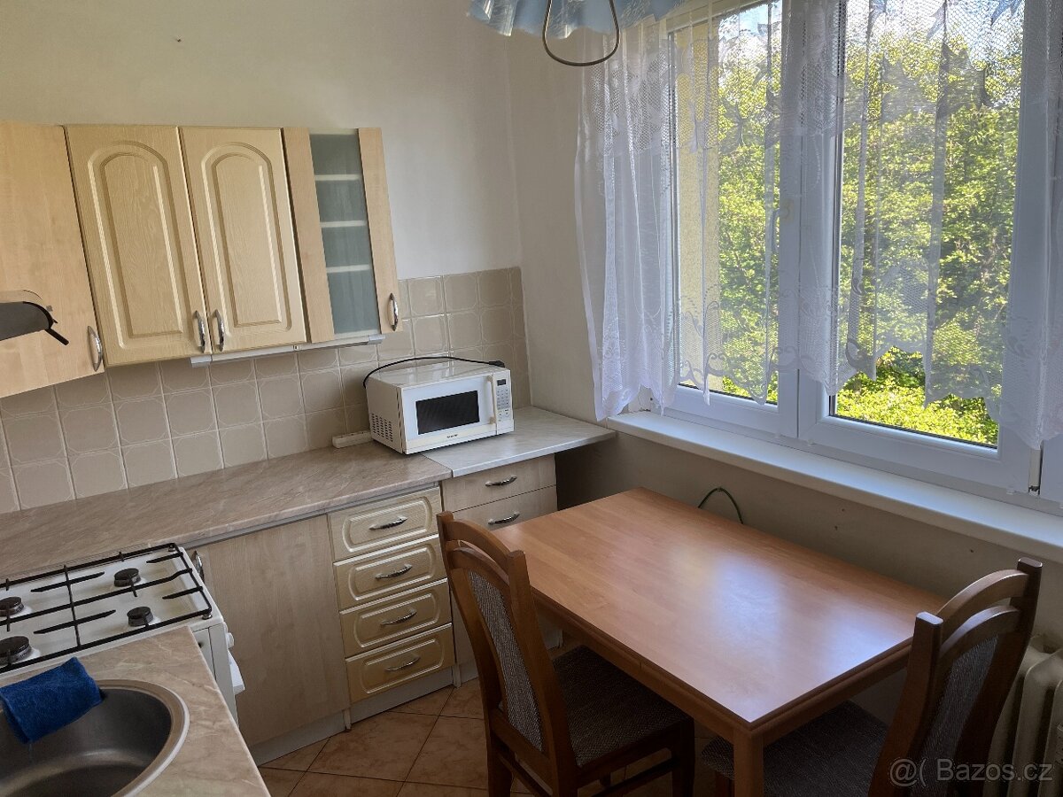 pronájem bytu 2+1 - 4