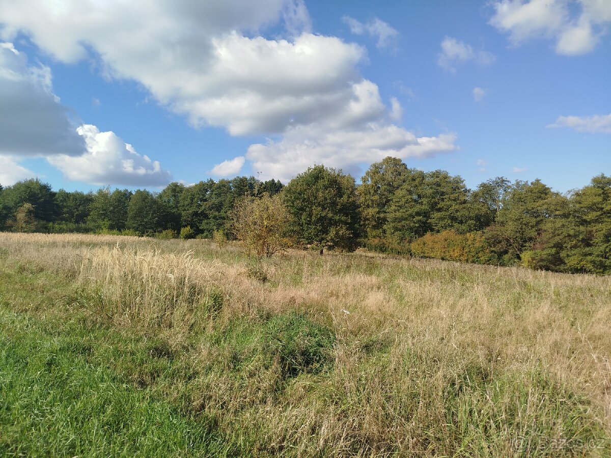 Louka Lukavec u Pacova - 4