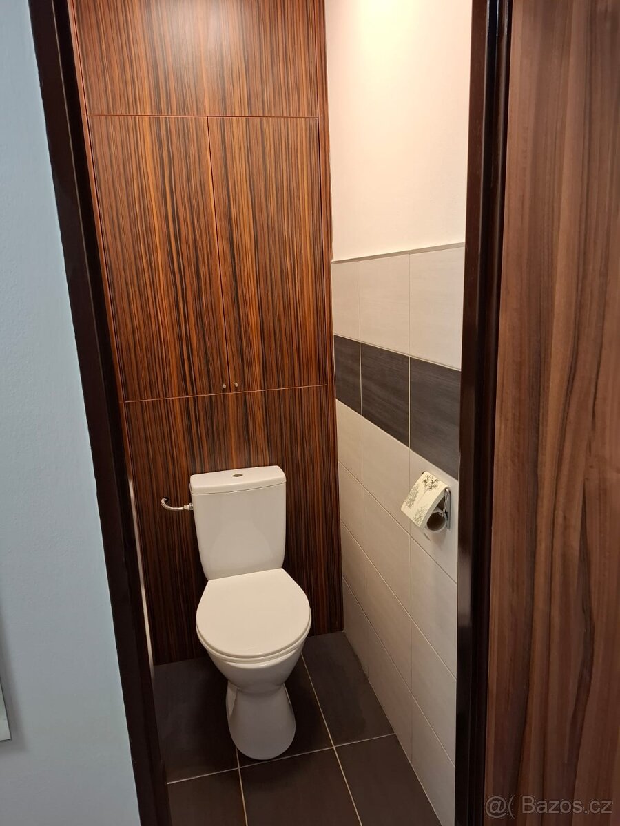 Pronájem bytu 2+1 Tišnov - 4