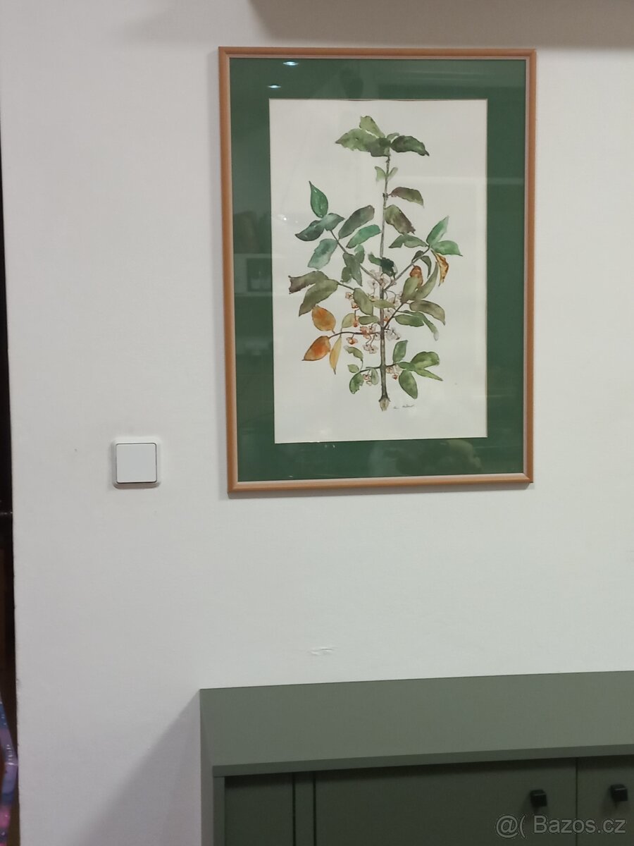 Obraz akvarel III - 4