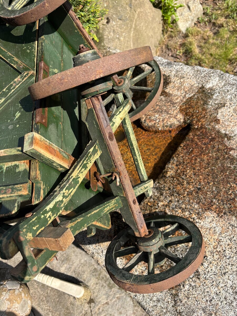 Žebřiňák bedňáček - 4