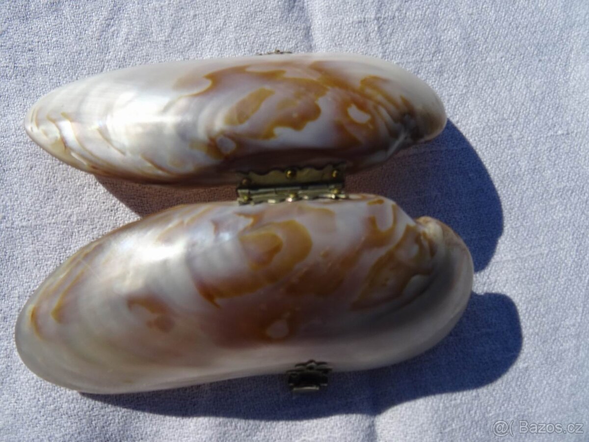 Starožítná etui z lastury. - 4