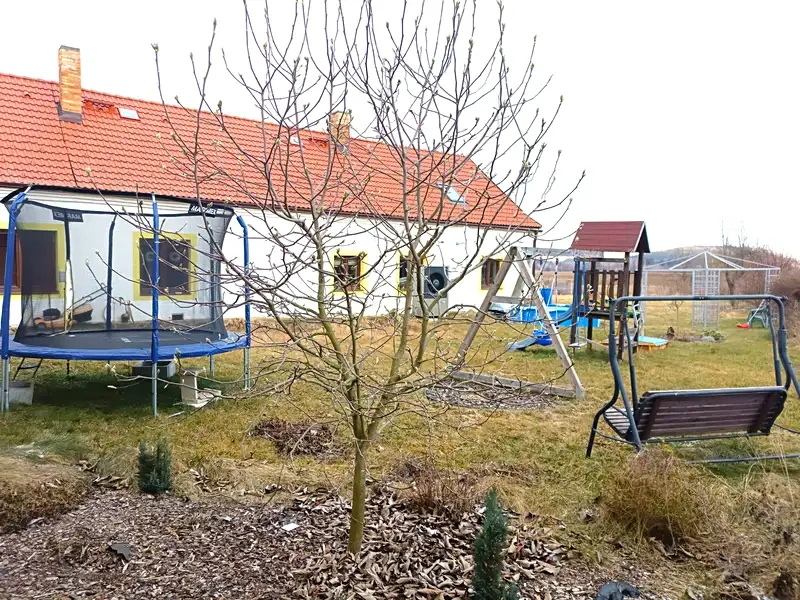 Prodej rodinného domu 100 m², pozemek 1894 m² Brloh - Rojšín - 4