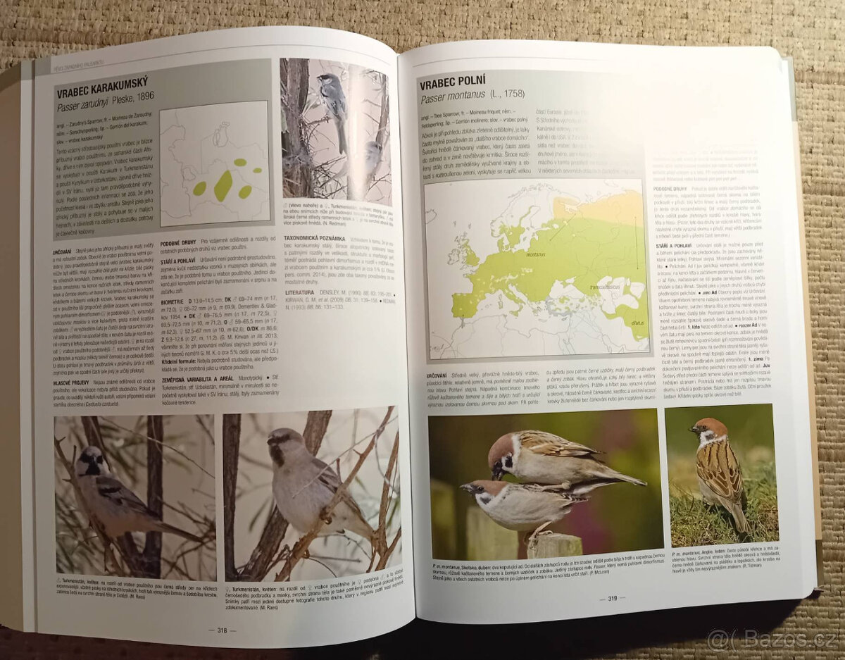 Ptáci: Pěvci Evropy, Blízkého východu a severní Afriky - 1,2 - 4