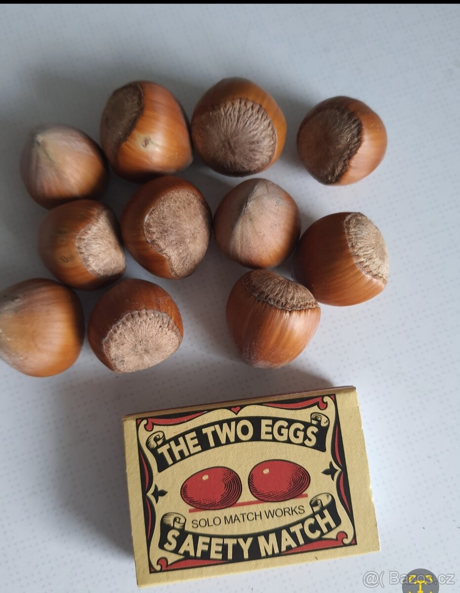 PRODEJ LÍSKOVÝCH OŘÍŠKŮ - 4