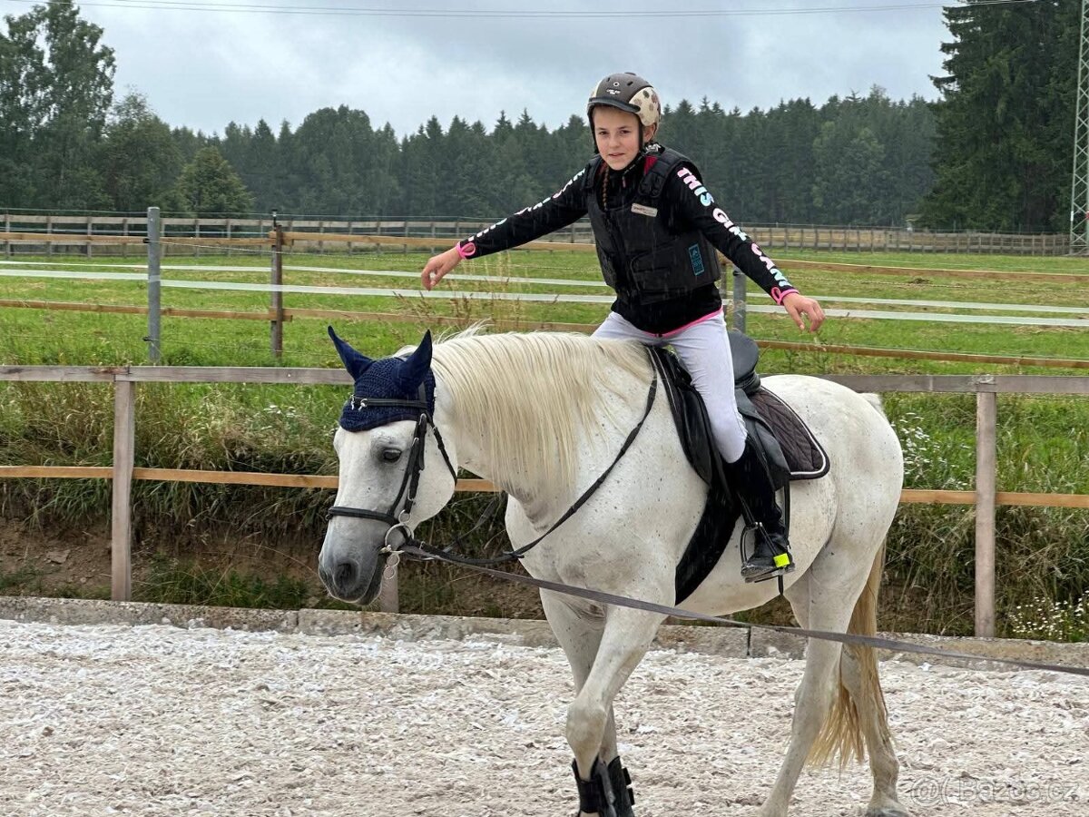 Dva koně pro začátečníky - 4