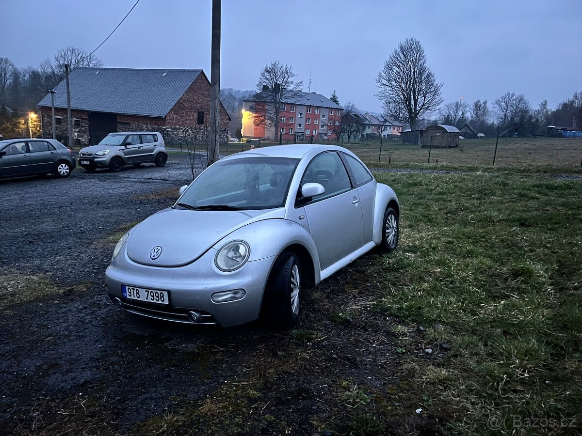 New beetle - 4