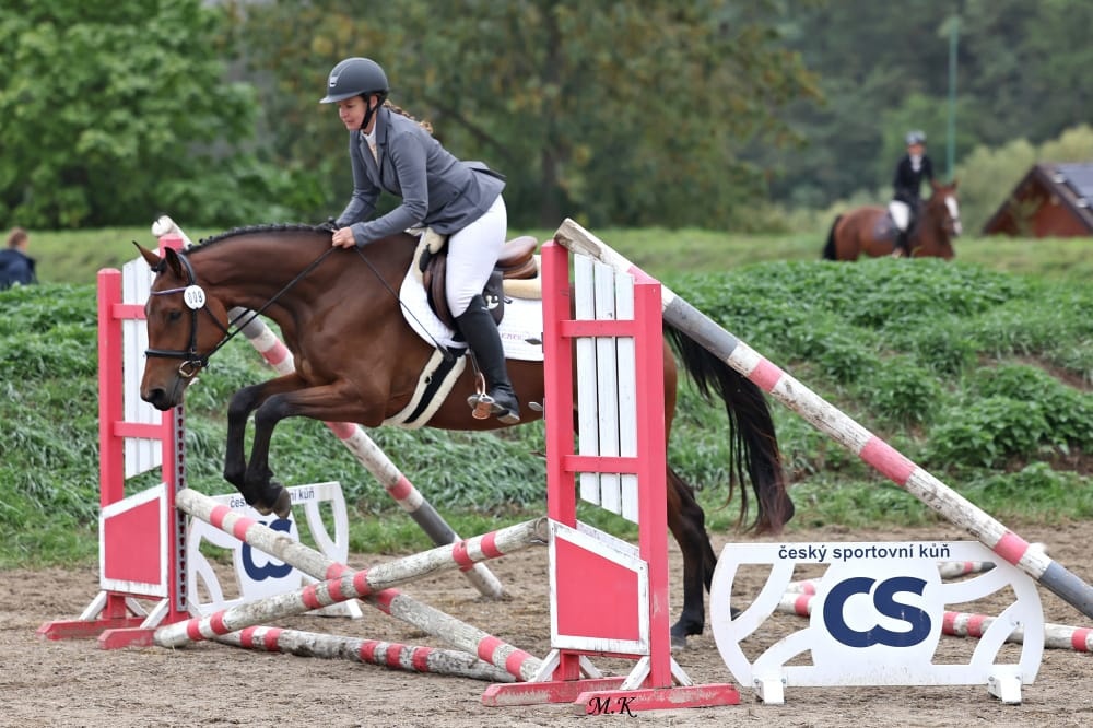 Tříletá oldenburská klisna na prodej - 4