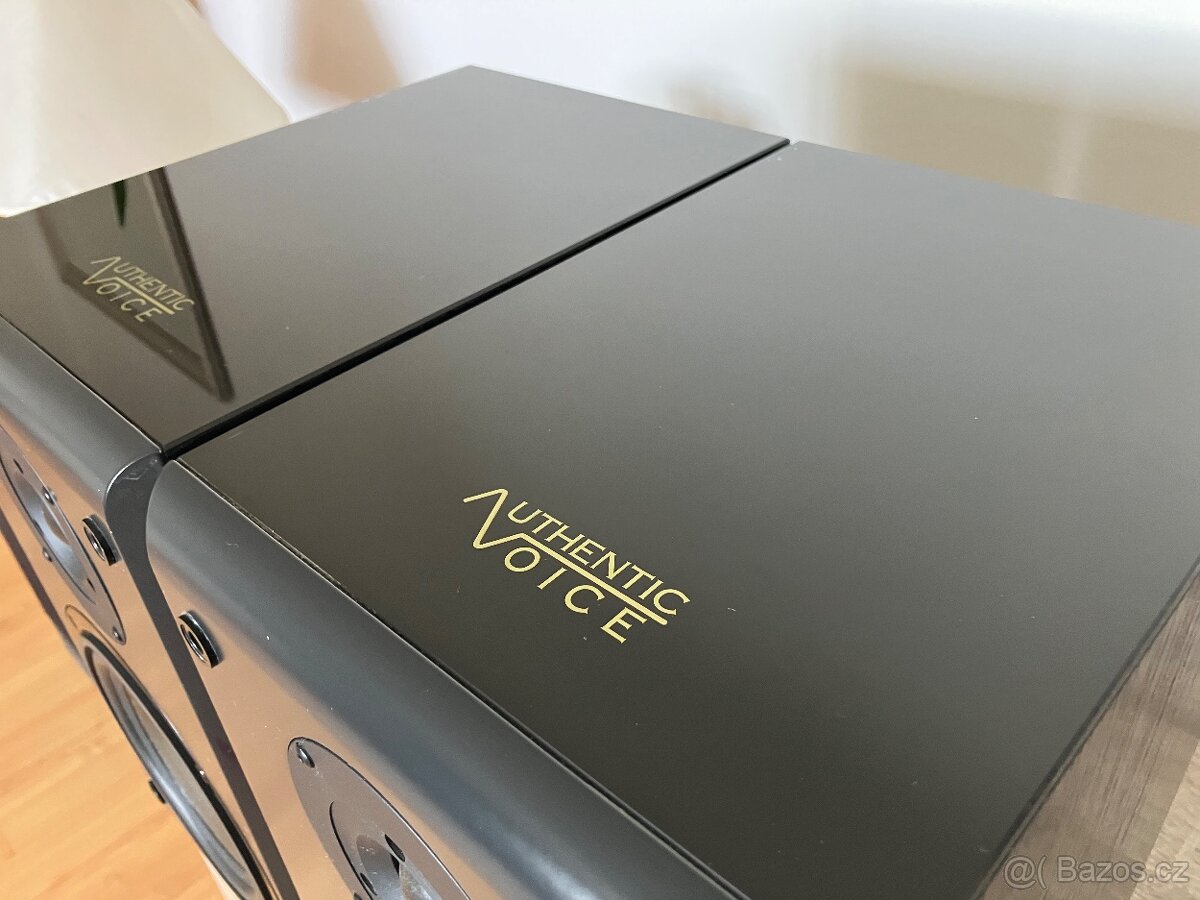 Authentic Voice - Magic 220 - 4