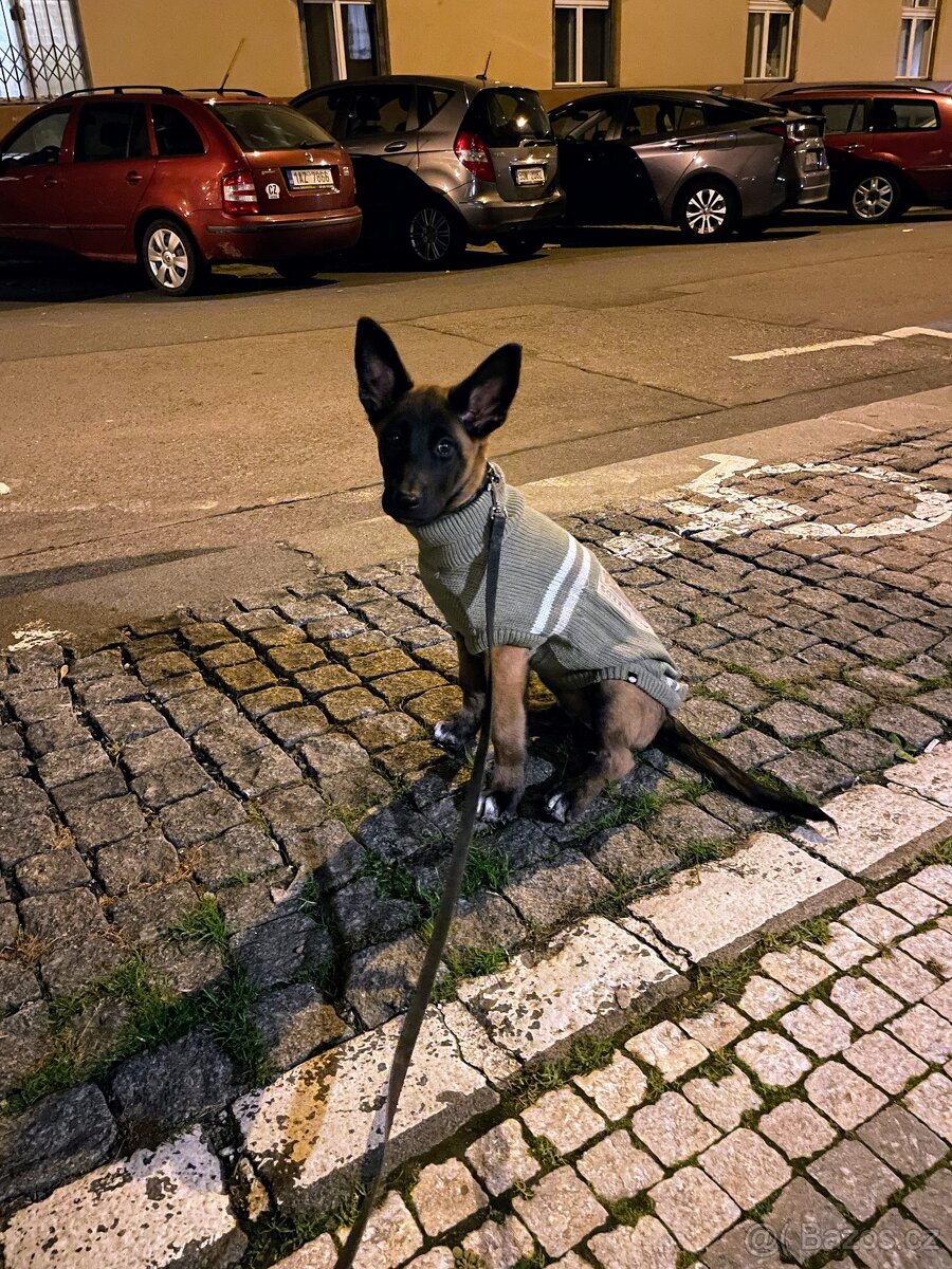 Svetr pro psy vel. 50 - 4