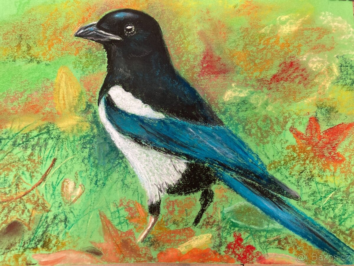 obrázky suchým pastelem - 4