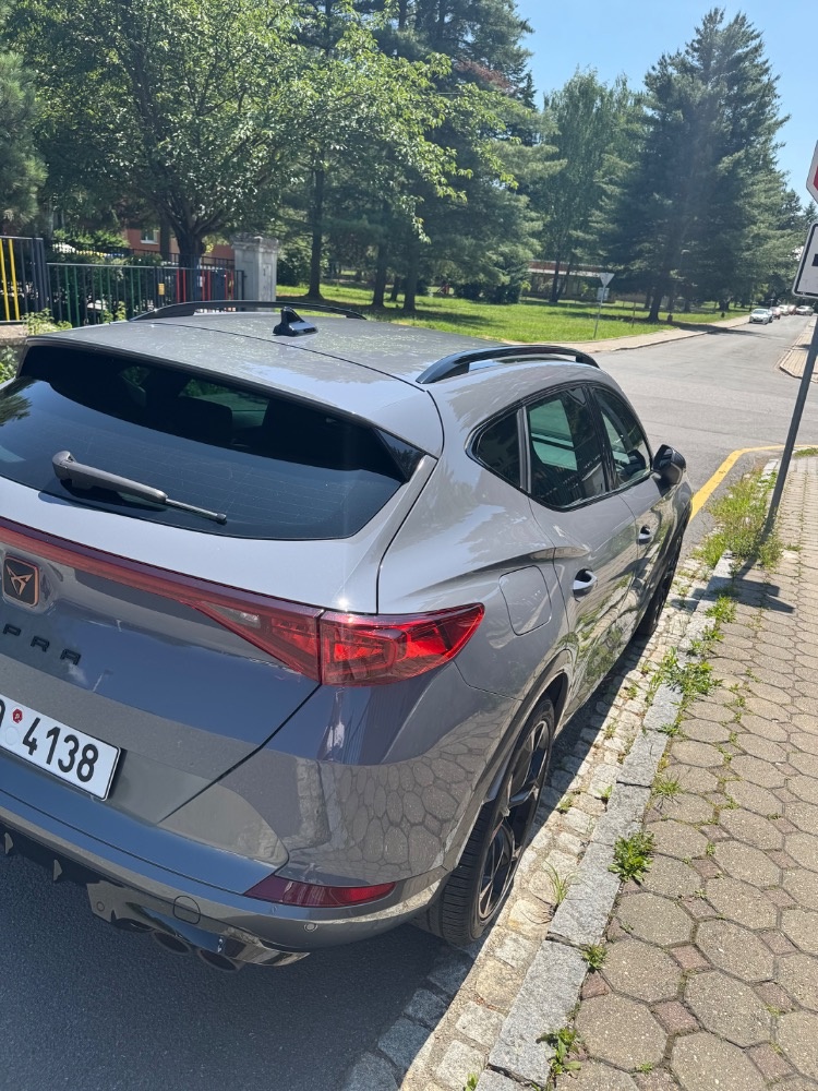 Cupra Formentor VZ 310 228kw