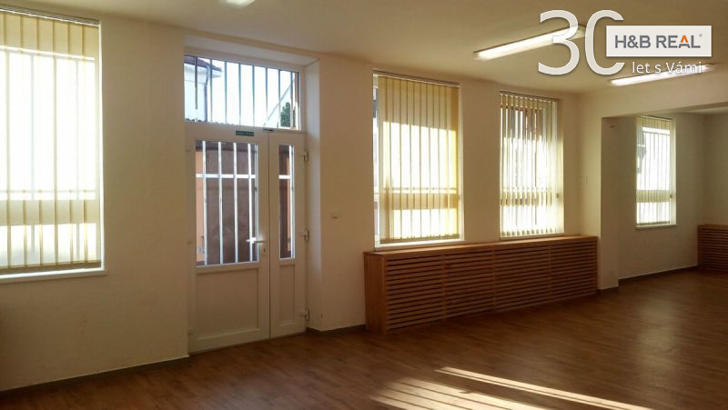 Pron. rek. kom. prostoru (obchod, jiné aktivity,... - 4