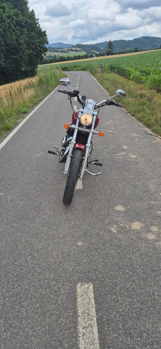 Harley Davidson 883 Sportster 2005 - 4