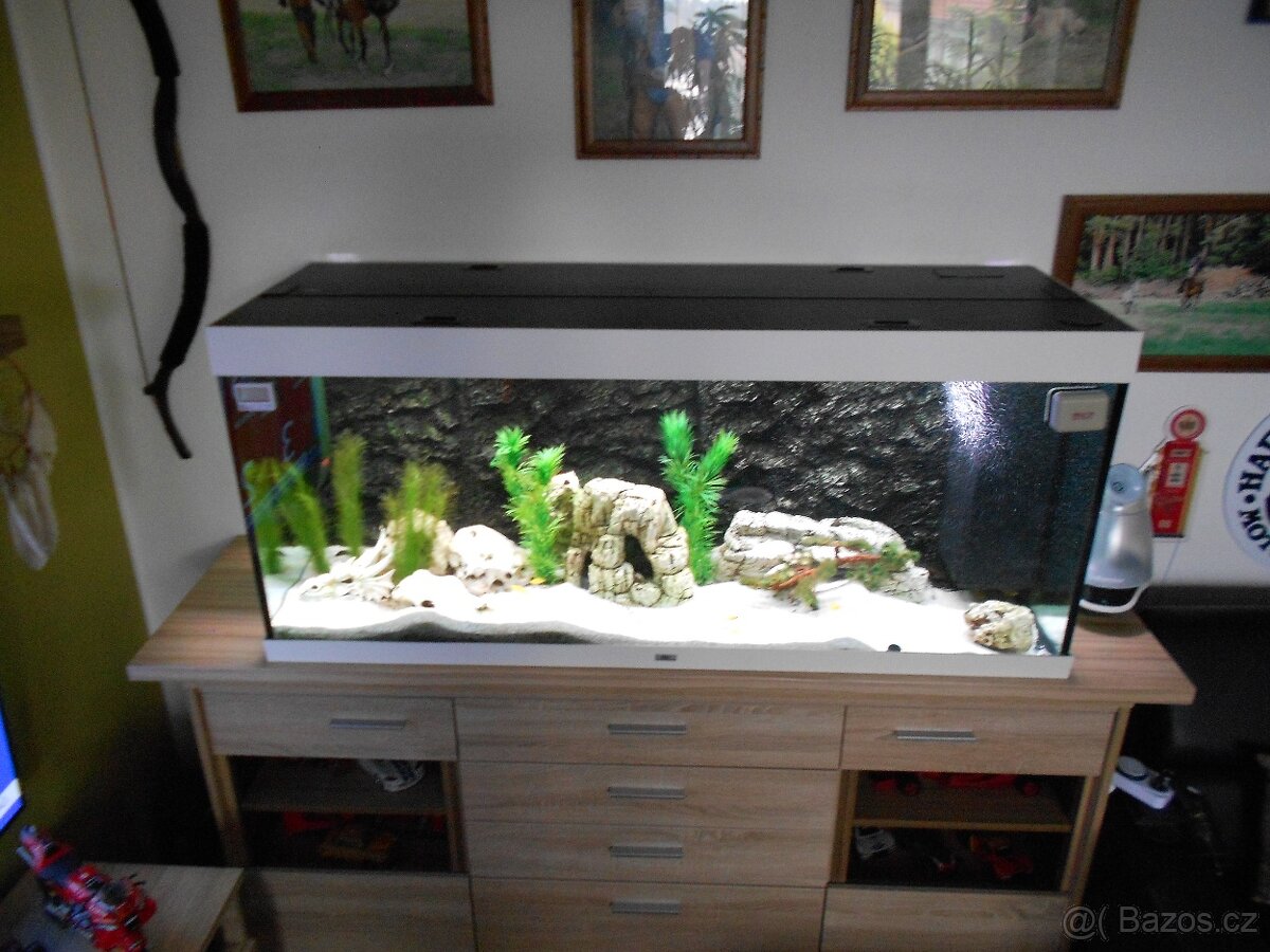 2Juwel akvarium - 4
