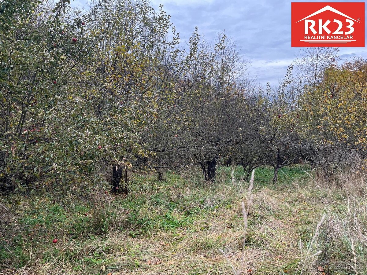 Prodej, Pozemek, Stráž - Olešná, ev.č. 02001 - 4