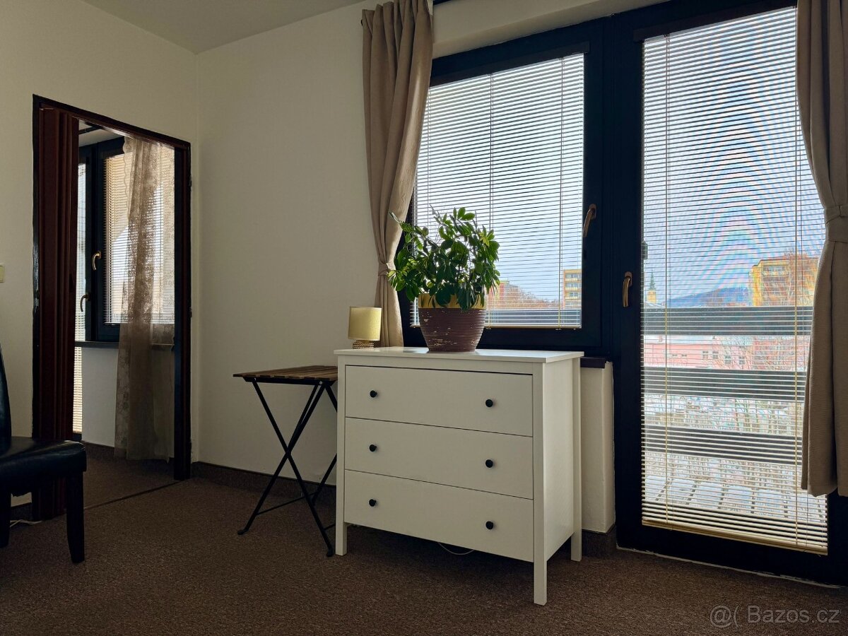 Pronájem pokoje 30 m² - 4