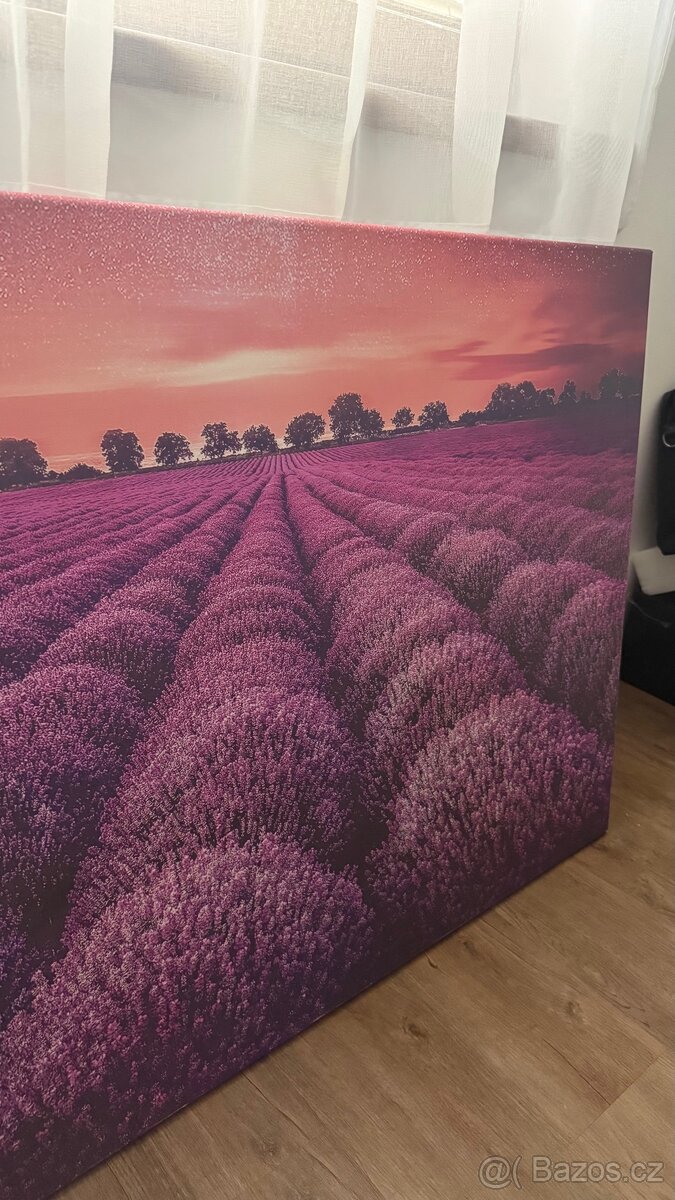 Fotoobraz - Levandulové pole - 4