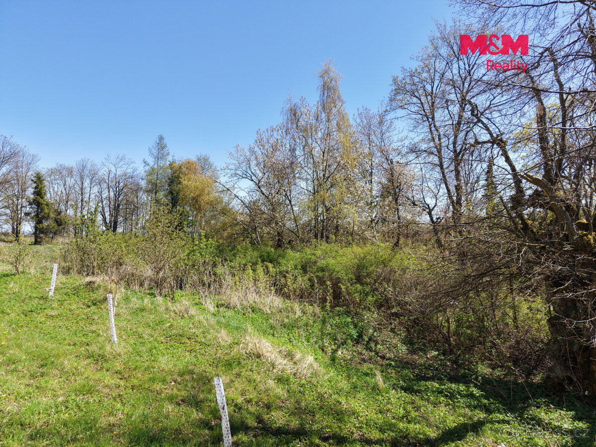 Prodej zahrady, 252 m², Výsluní - 4