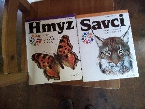 sedačka, tácy do mikro. trouby, knihy, stojany - 4