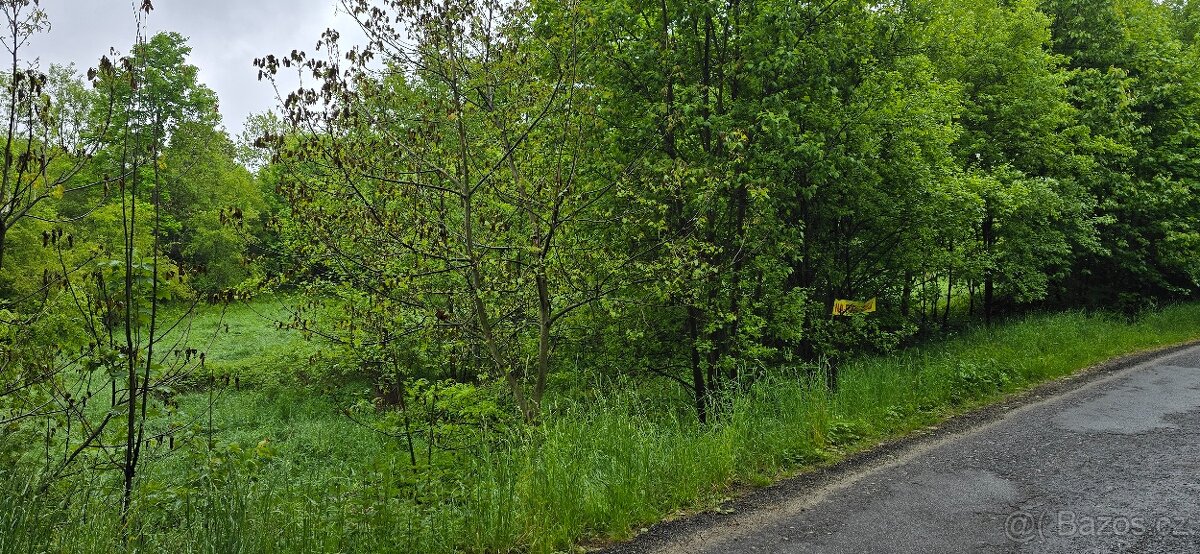 Prodej podílu 1/2 stavebního pozemku 340 m² Veselá - Žďár - 4