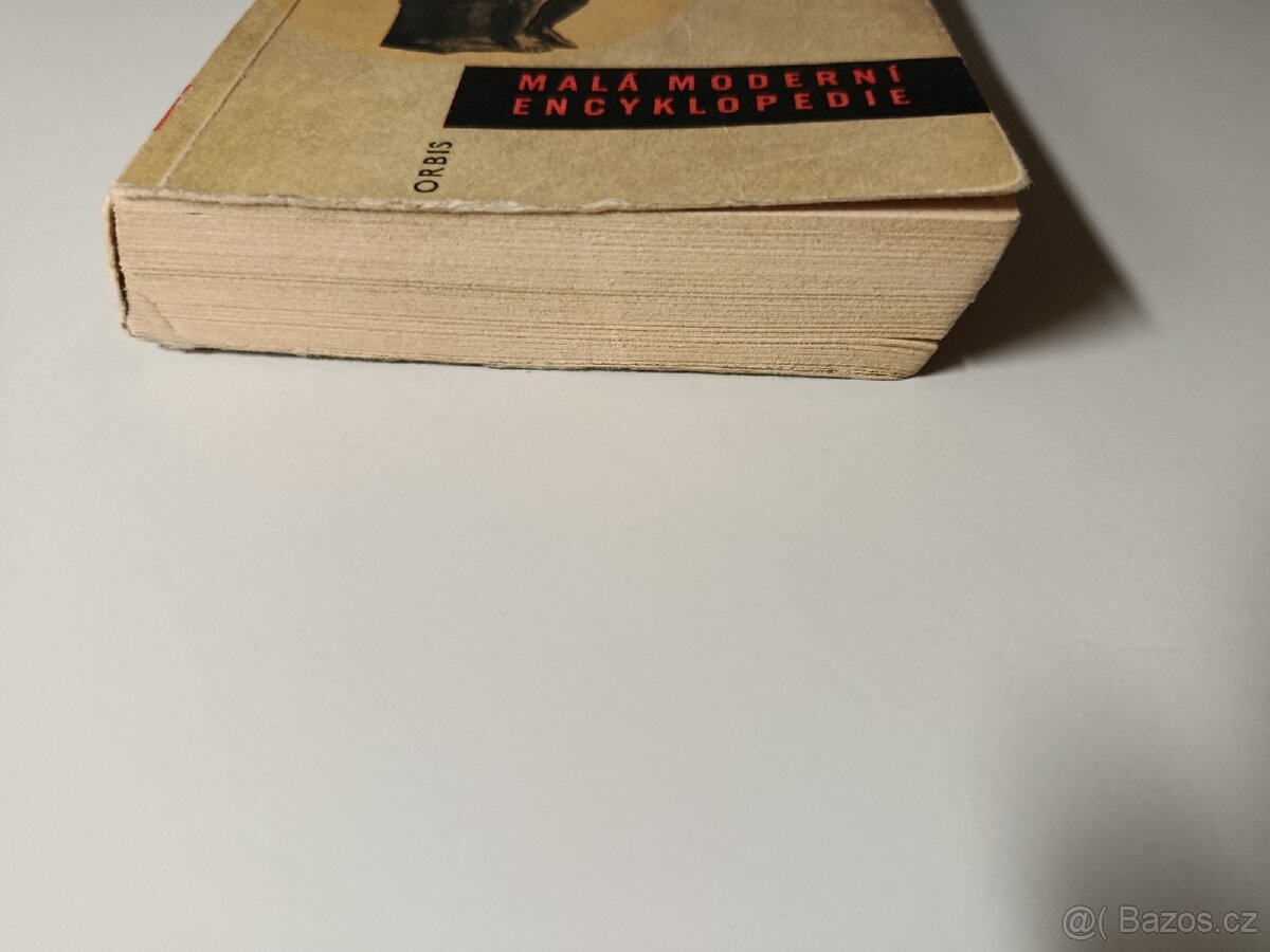 Druhé pohlaví - Simone de Beauvoir, Jan Patočka 1966 - 4