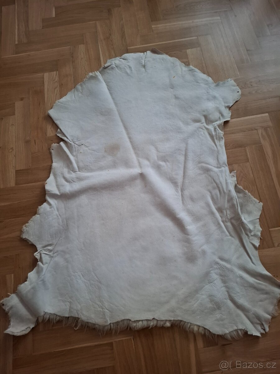 Ovčí kůže - 4