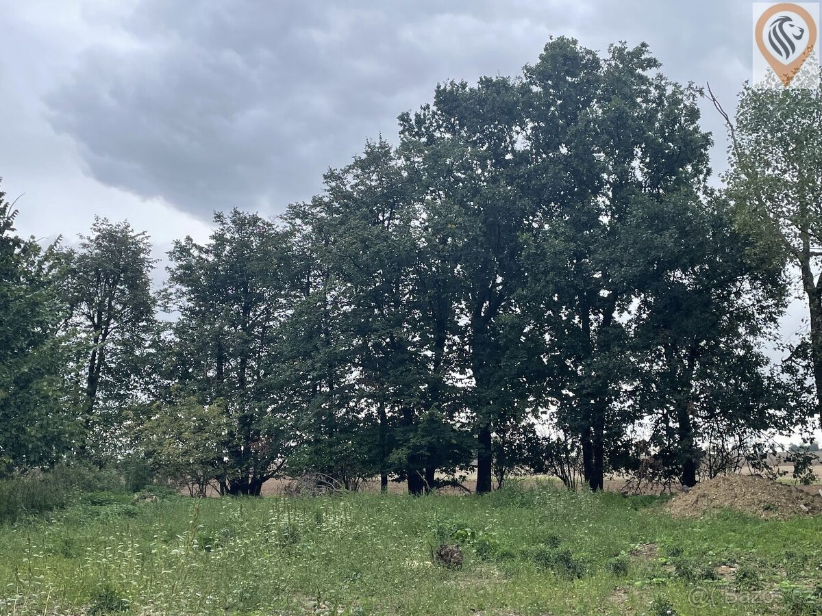 Prodej orné půdy o rozloze 51 051m2 - 4