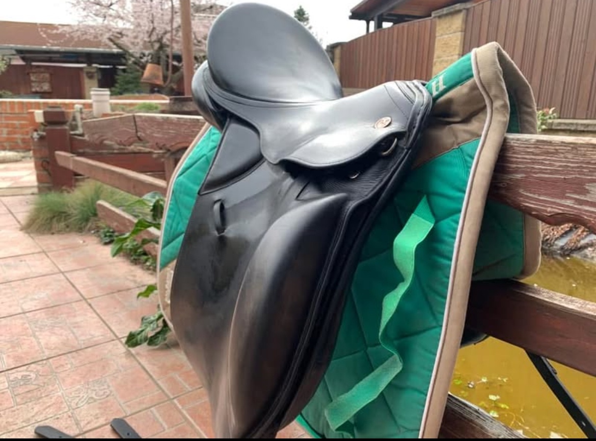 Drezurní sedlo Kieffer - 4