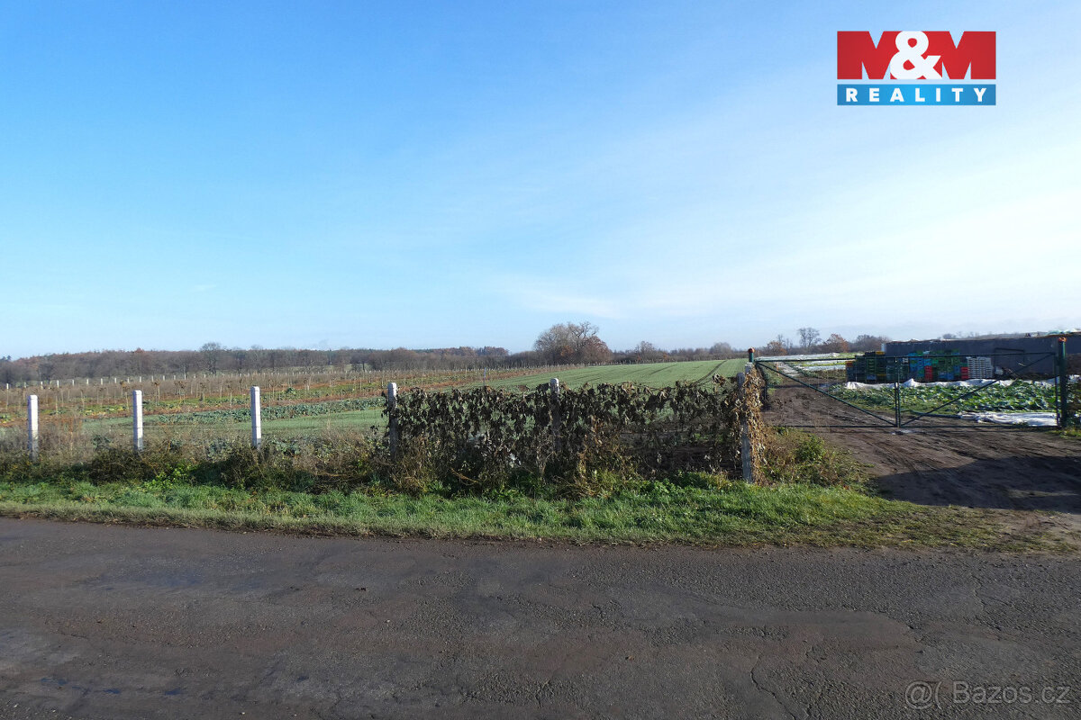 Prodej ovocného sadu, 9979 m², Nové Dvory u Kutné Hory - 4