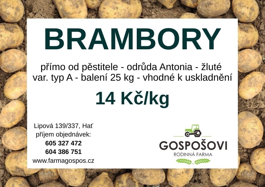 Brambory na uskladnění - 4