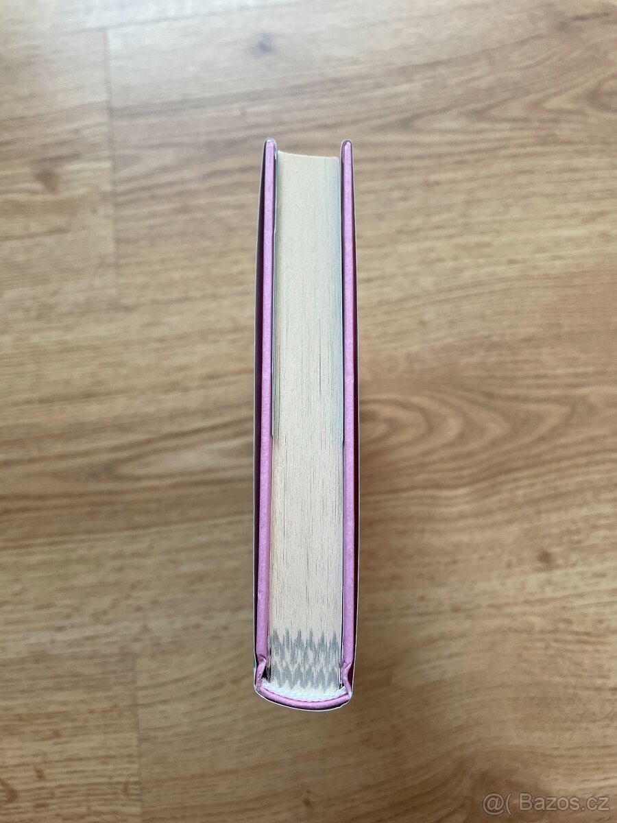 Jedenáct - Lauren Myracleová - 4