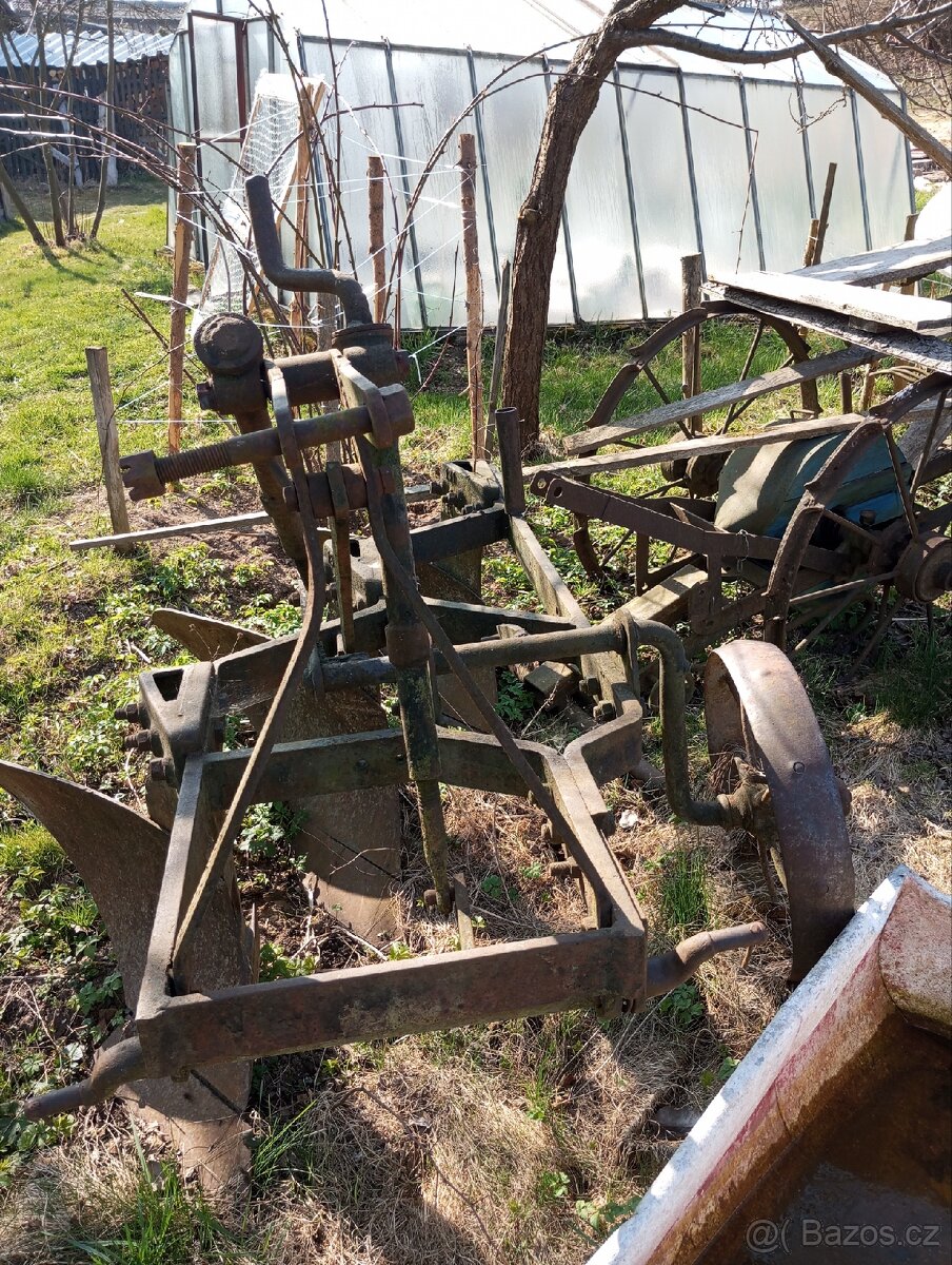 Pluh triradlicny - 4