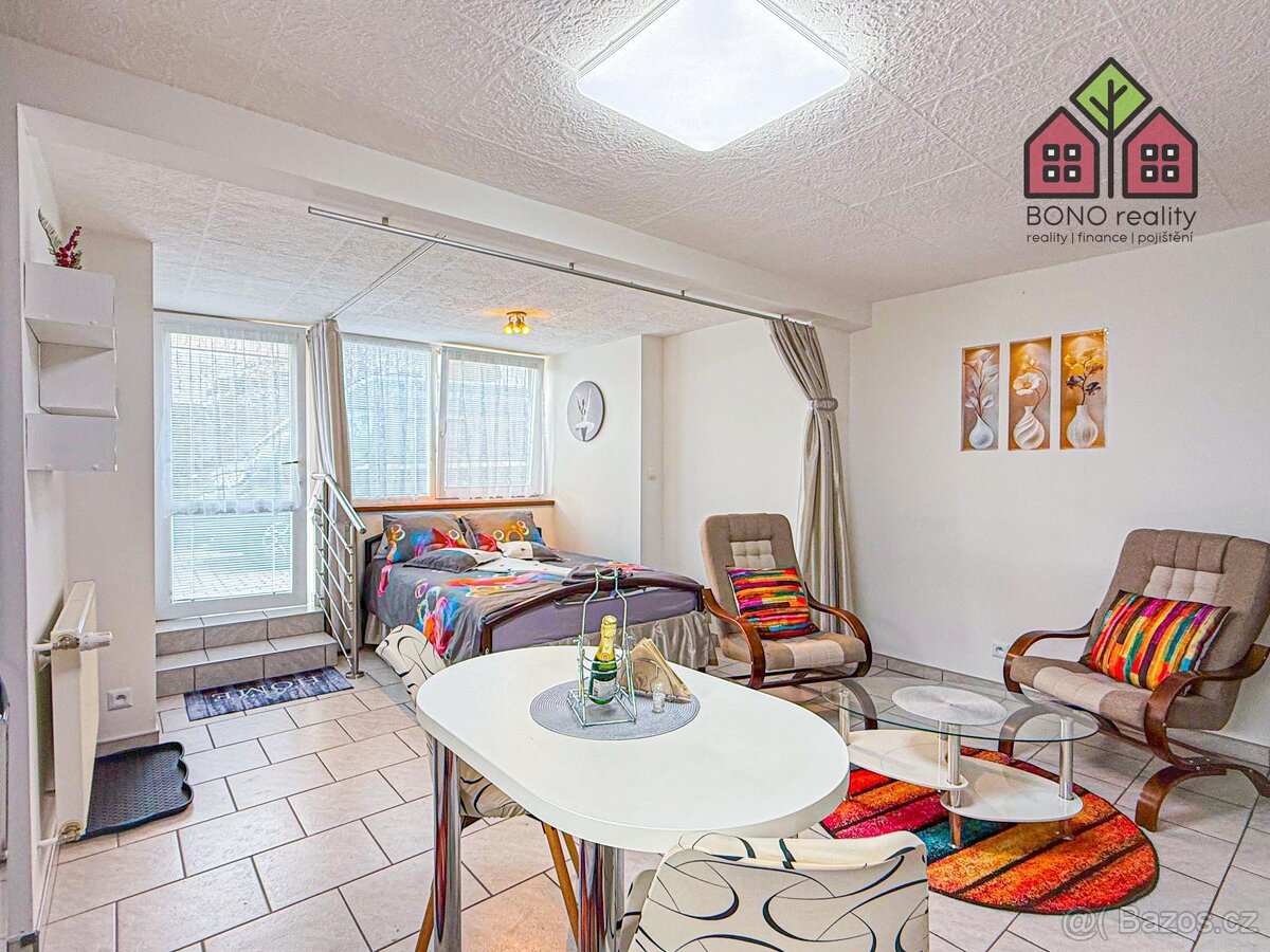 Byt, OV, 1+kk, 34 m2, po revitalizaci, plně zařízeno, terasa - 4