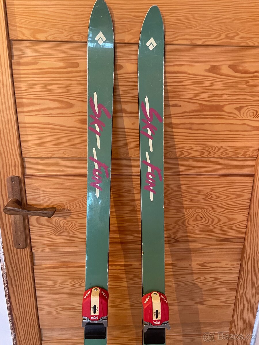 Lyže 170 Artis + hůlky 125 cm - 4