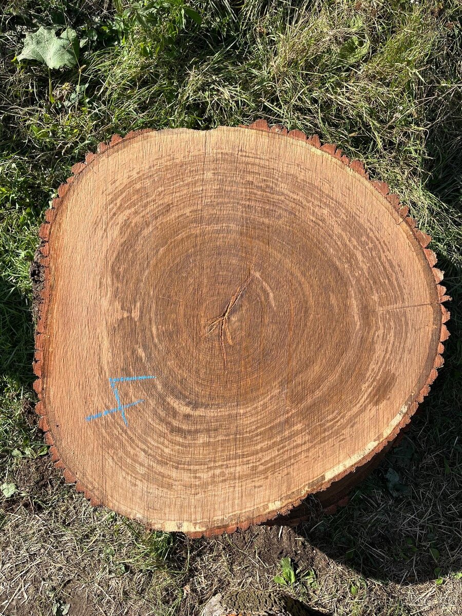 Dubové koláče - 4