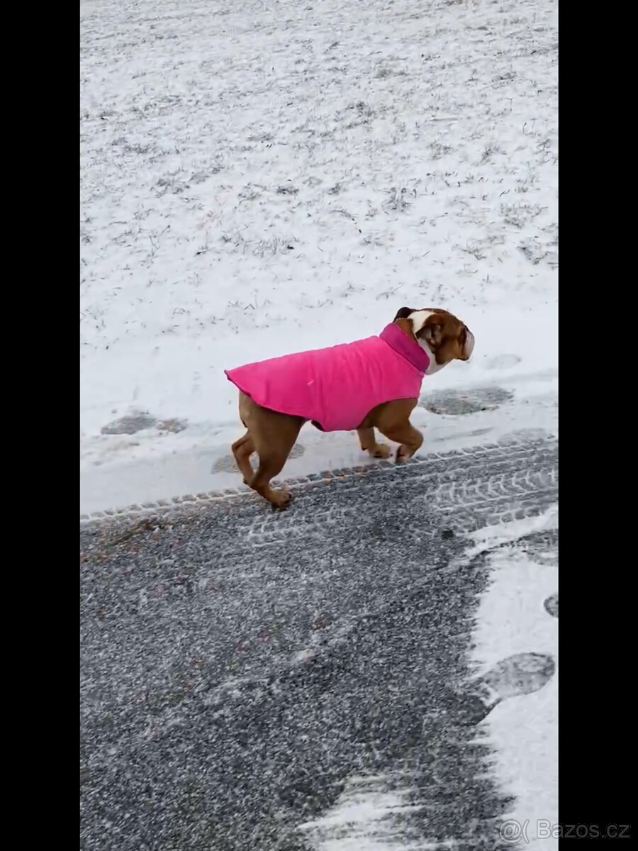 zimní vesta Surtep Animals Street - 4