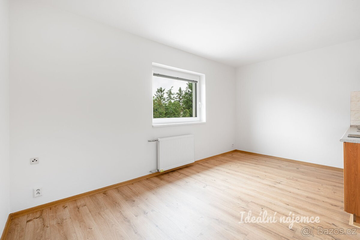 Pronájem bytu 1+kk - 4