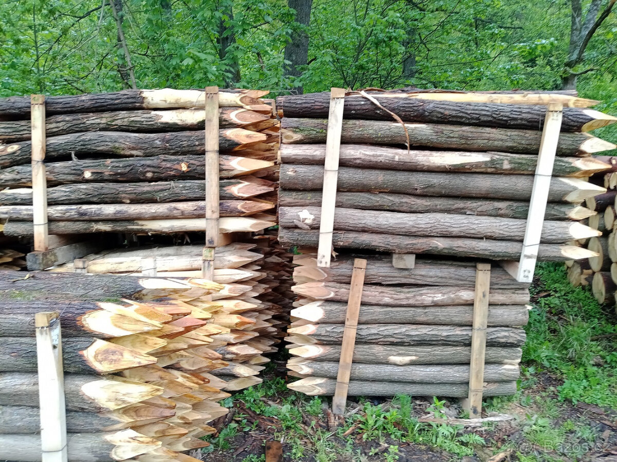 Akátové kůly - 4