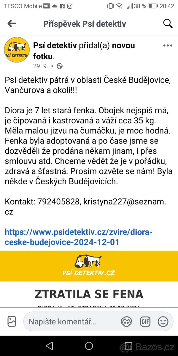 Prosím o Diorku. American bully - 4